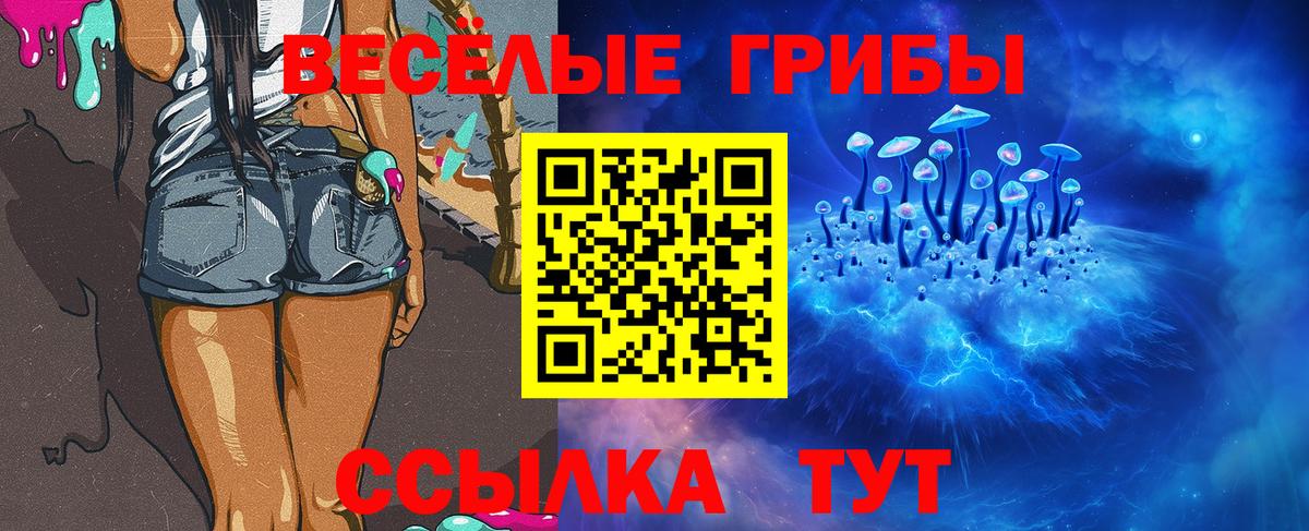 Кумертау  Галлюциногенные грибы Cubensis  Вход с VPN 